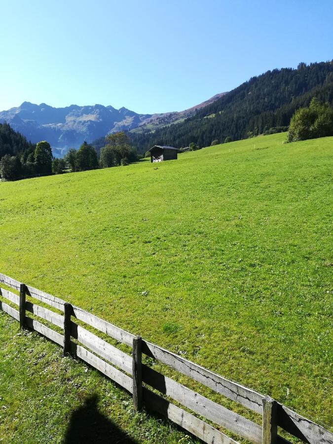 Hacklstoana Lägenhet Alpbach Exteriör bild