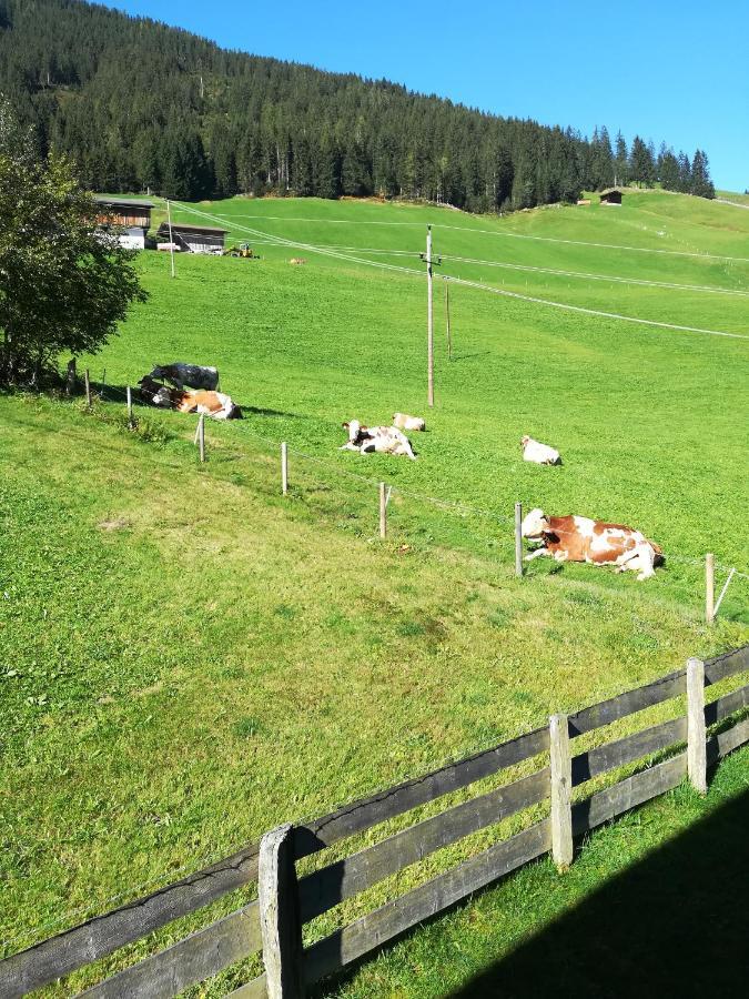 Hacklstoana Lägenhet Alpbach Exteriör bild