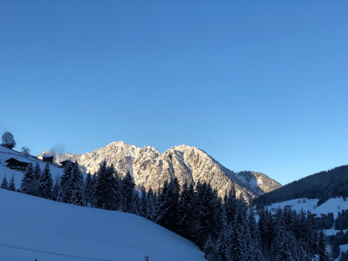 Hacklstoana Lägenhet Alpbach Exteriör bild