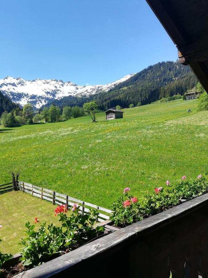 Hacklstoana Lägenhet Alpbach Exteriör bild
